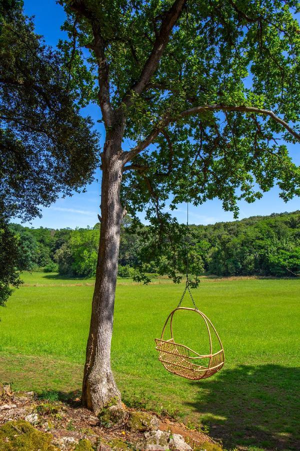 Vibe Luxury Cabins Arnuero Zewnętrze zdjęcie