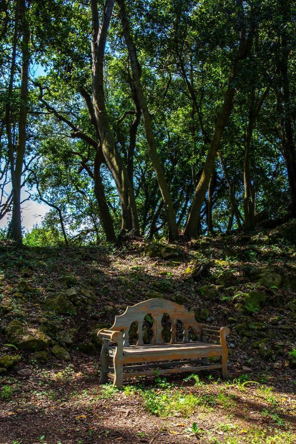 Vibe Luxury Cabins Arnuero Zewnętrze zdjęcie