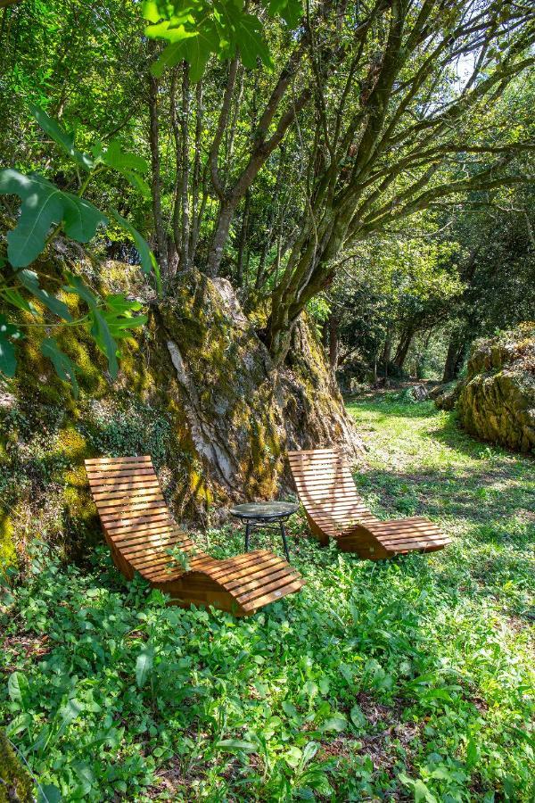 Vibe Luxury Cabins Arnuero Zewnętrze zdjęcie