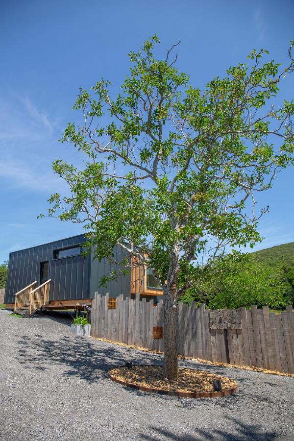 Vibe Luxury Cabins Arnuero Zewnętrze zdjęcie